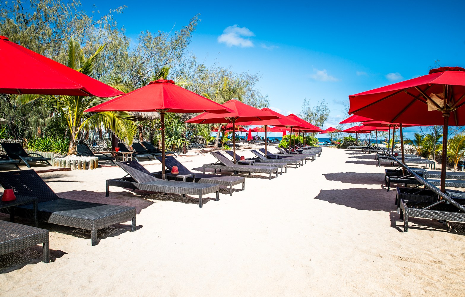 Ile aux Canards  Restaurant Le Filao