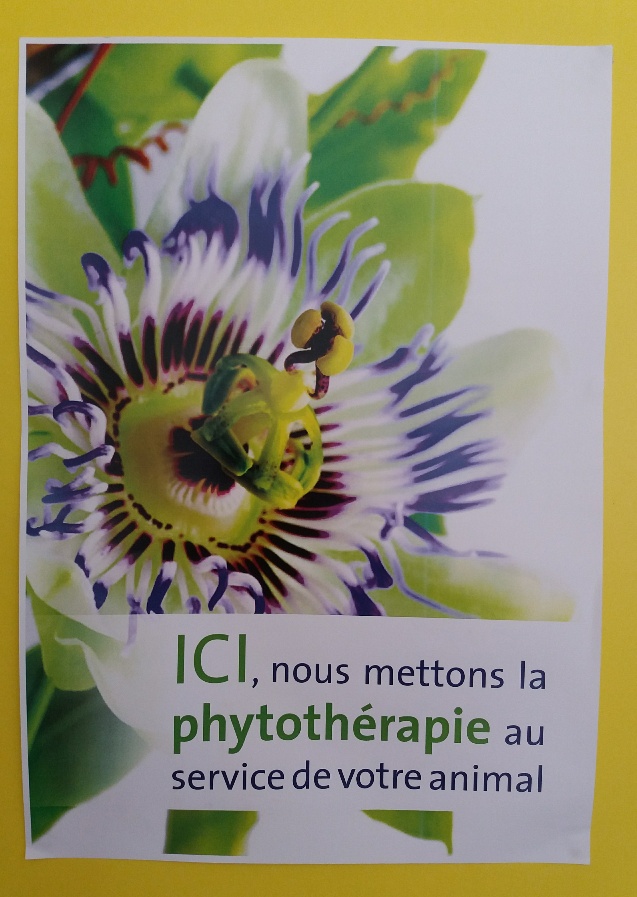 Clinique Vétérinaire du Corail PK7