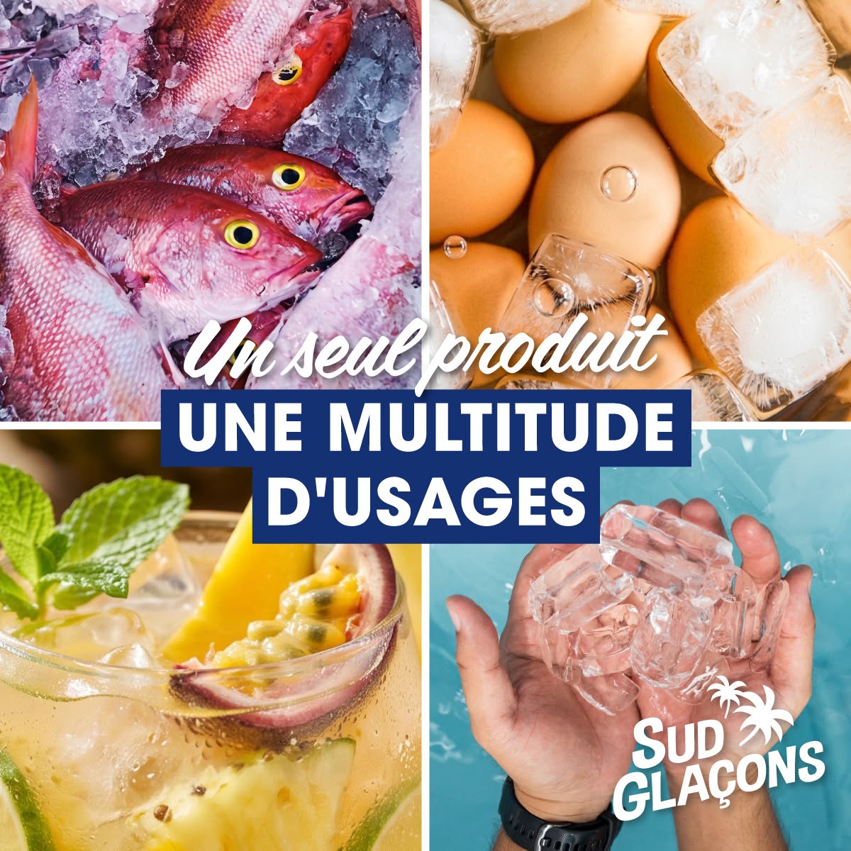 Sud Glaçons
